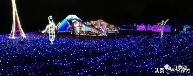 南阳世界月季大观园开幕邀请,南阳月季大观园门票现在免费政策