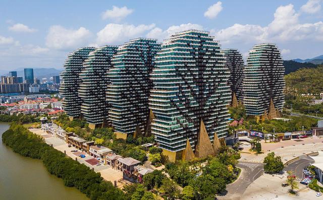 三亚美丽大树七星酒店多少钱一晚,三亚美丽之冠大树酒店老板是谁