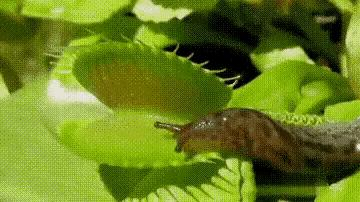 为什么加油站要24小时上班,为什么加油站一个工资1800