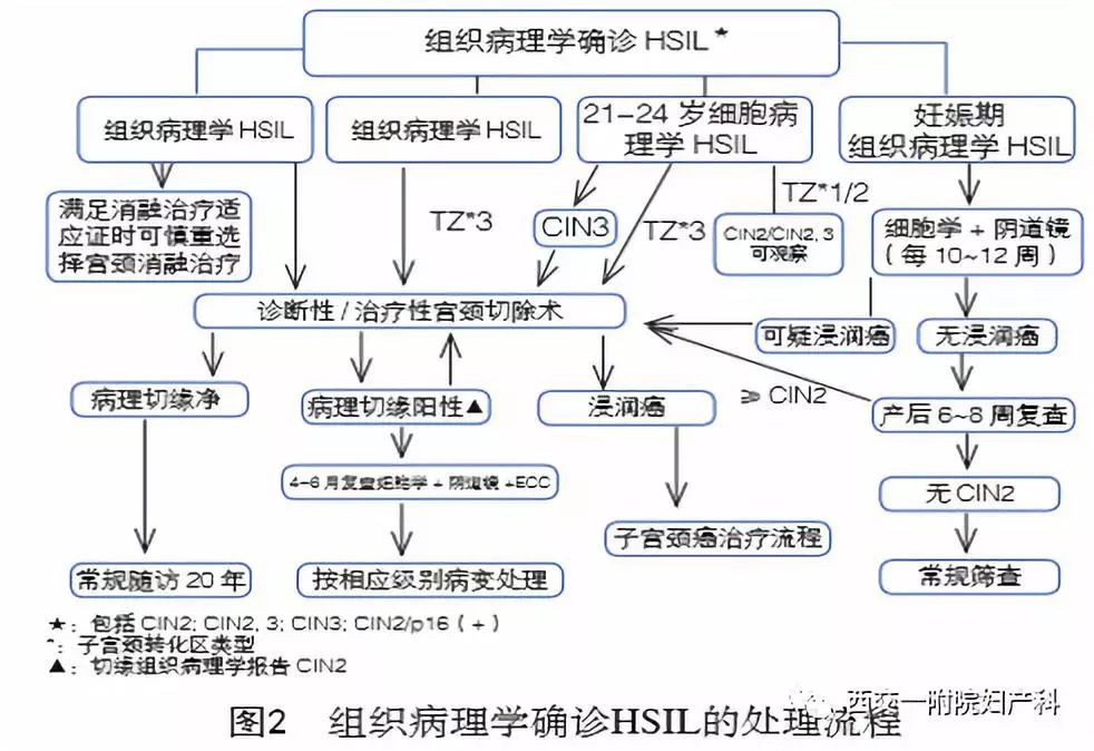 宫颈锥切手术后白带异常,宫颈锥切手术能吃猪油吗