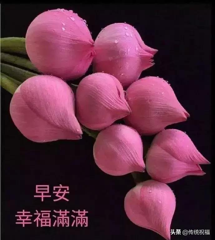 亲爱的朋友快乐一生,亲爱的朋友每天开心快乐