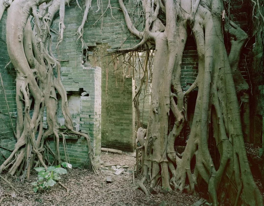 一个泉州小伙的中国荒村启示录