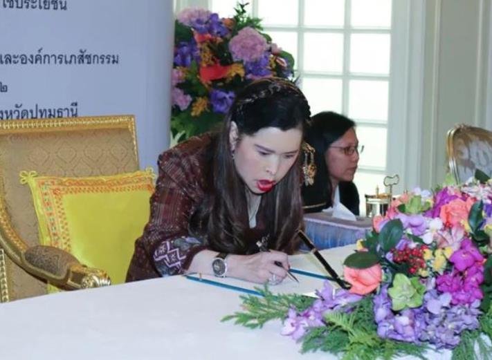 最美的公主泰国,泰国最美公主弹古筝