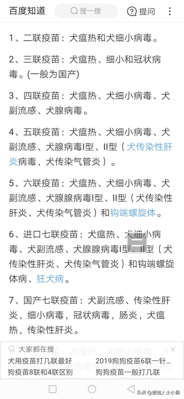 给狗狗打疫苗教学视频防咬,给狗狗打疫苗的正确方法