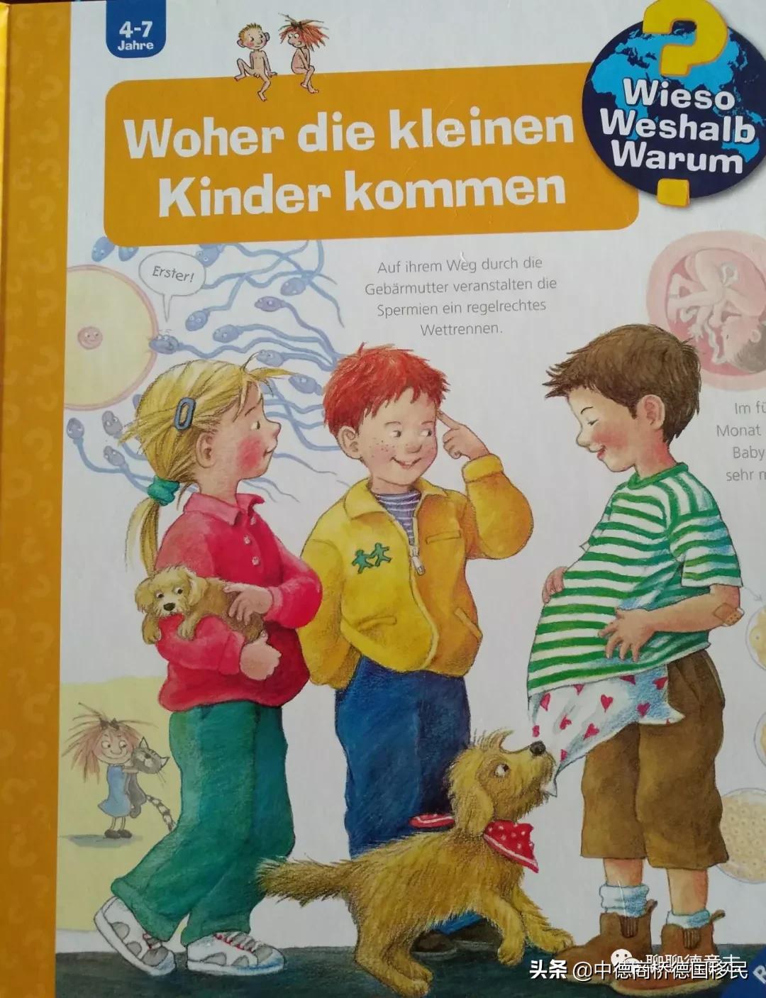 德国性教育绘本,德国儿童性教育