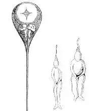 为什么只有人类女性会有大姨妈,为什么女人会来大姨妈