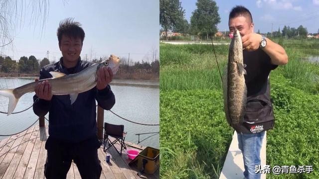 玩路亚老是炸线怎么回事,钓路亚老是炸线是什么原因