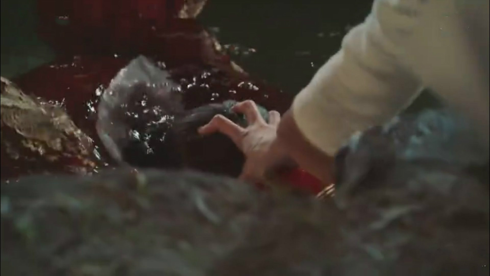 皇后的品格渣皇去世,皇后的品格皇后手撕渣皇