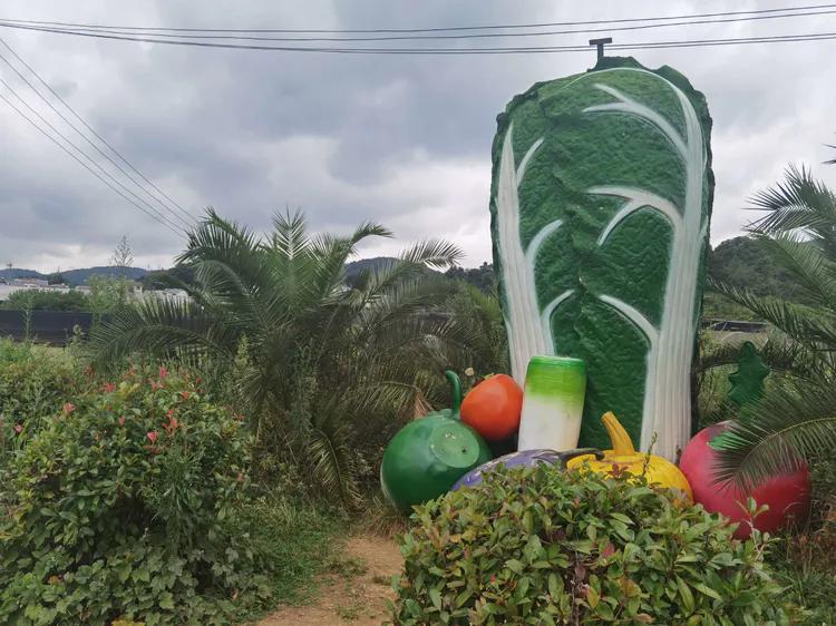 贵州蓬莱仙界旅游攻略,白云区蓬莱仙界景点介绍