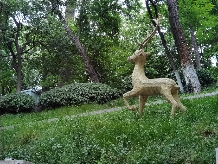 琥珀龙虾一条街价格,贵池路龙虾一条街