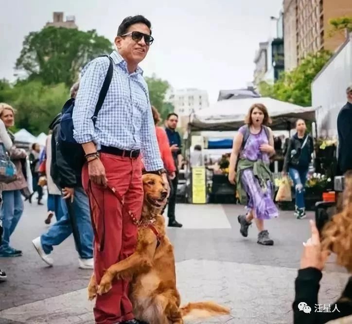 金毛训练抱腿,金毛抱住腿