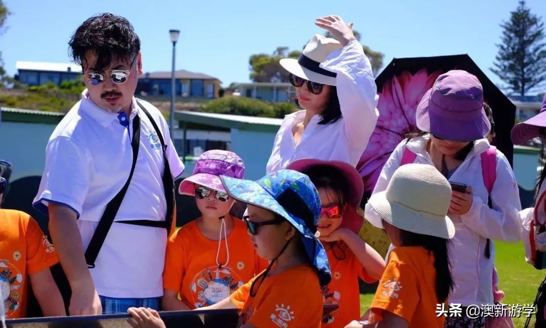 澳洲游学满载而归,澳洲亲子游学日程安排