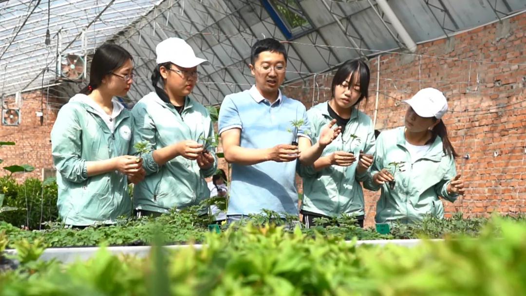 2021阜新高等专科学校中专招生,阜新高等专科学校2004年招生专业