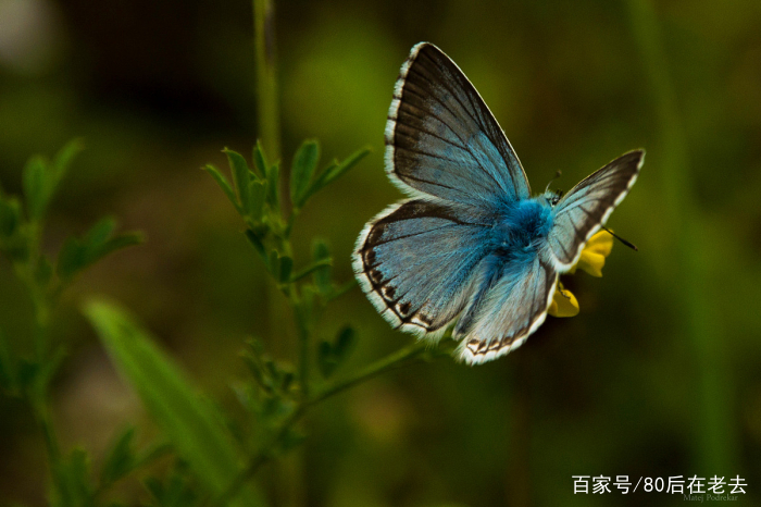 几本好看的网游小说，文笔诙谐幽默，人物生动形象，可以放心入坑
