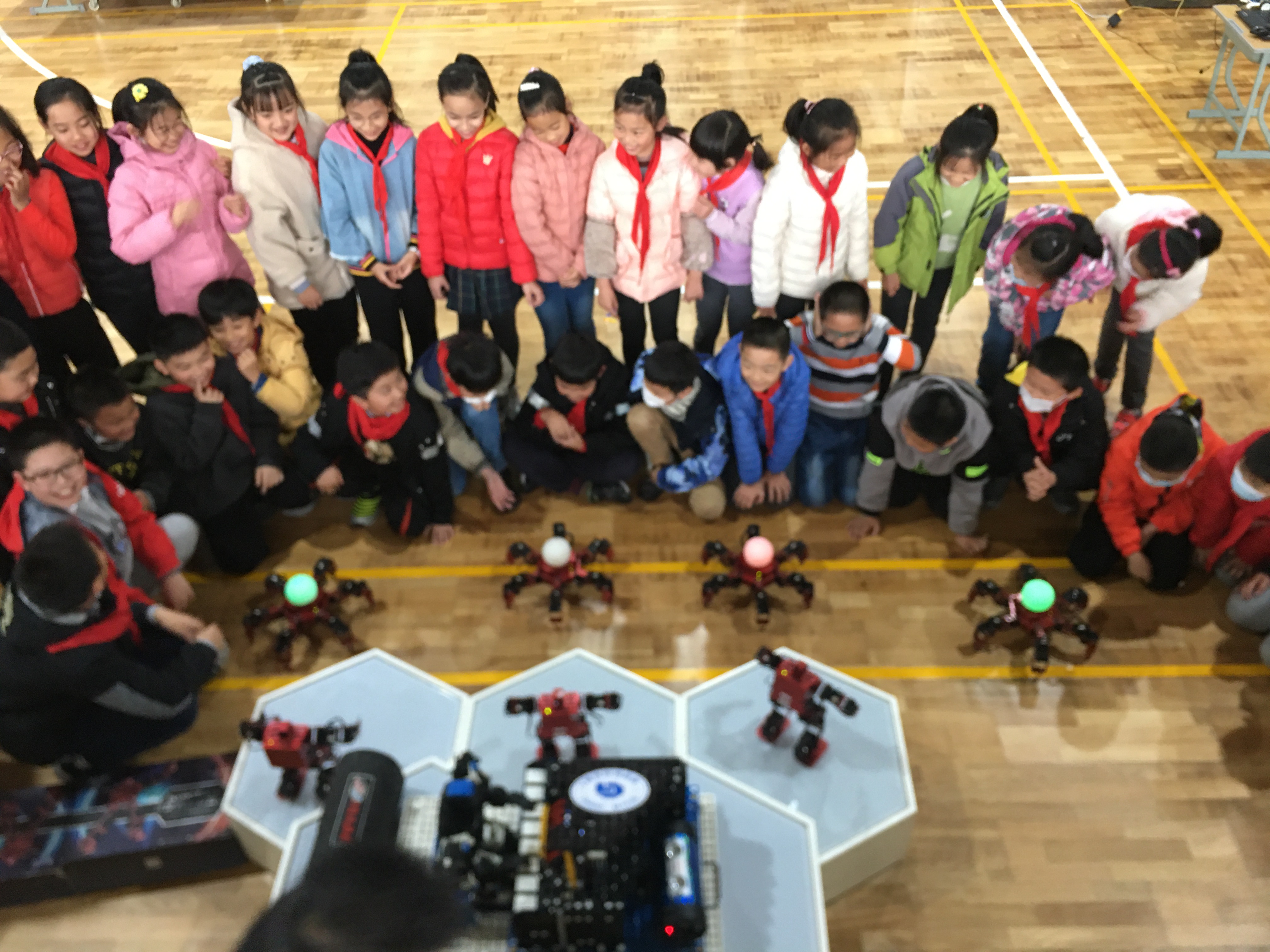 机器人教育权威机构,机器人编程教育排行榜