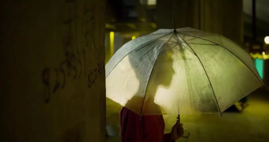 南方车站的聚会东北人,南方车站的聚会是野鹅湖吗