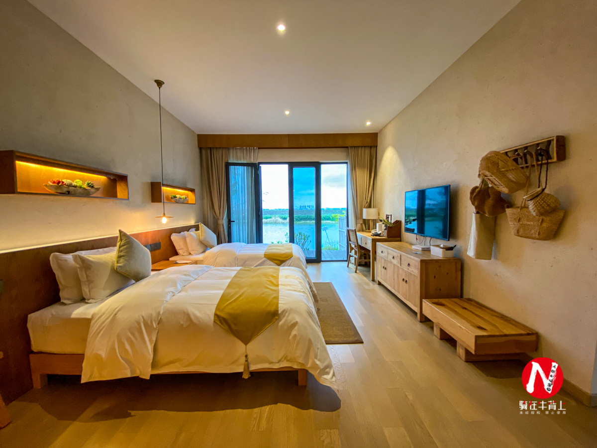 兴化看油菜花一日游,兴化千亩油菜花旅游