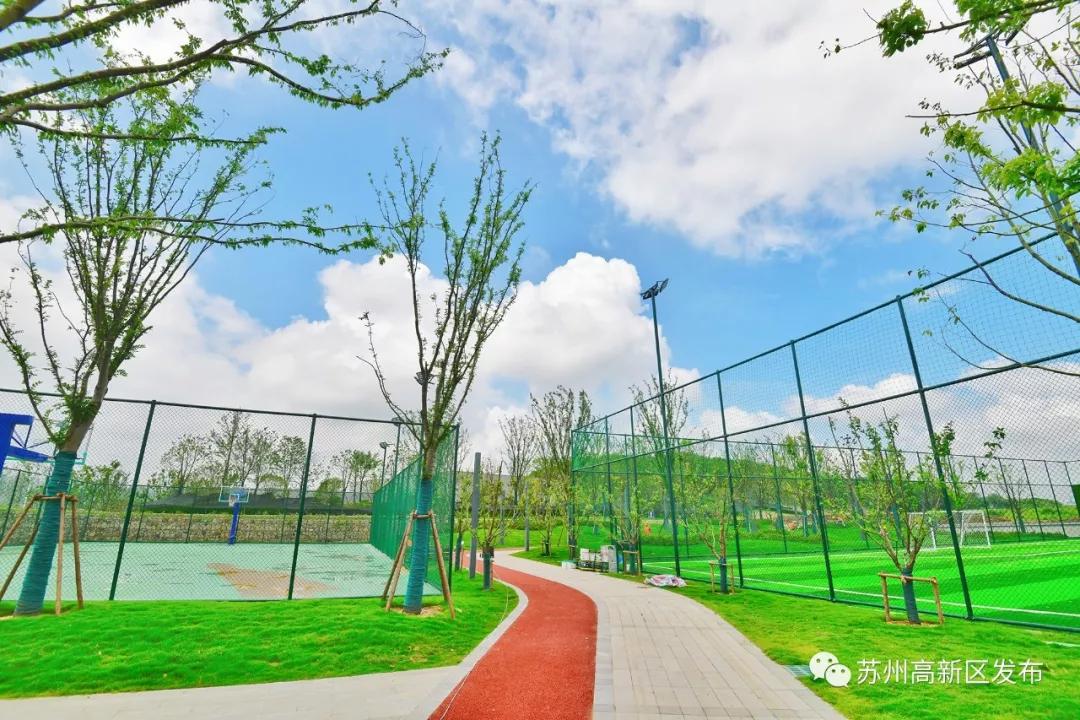 尖叫无锡,尖叫苏梅岛