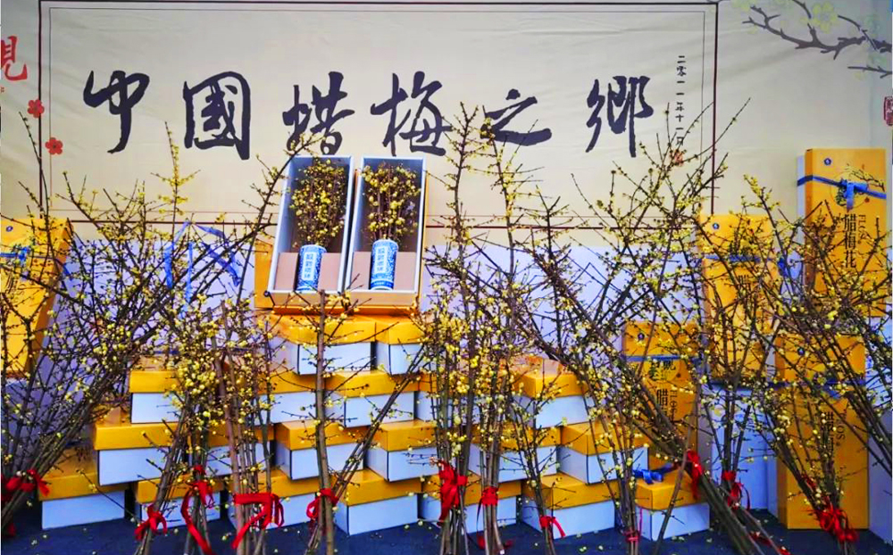 北碚2023年常住人口有多少人,重庆北碚区人口2023年总人数