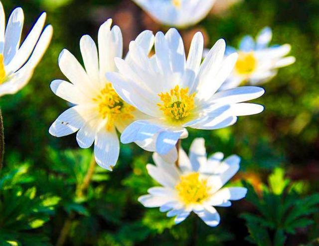 对方把微信拉黑和删除有什么区别,微信被删除和拉黑朋友圈显示什么