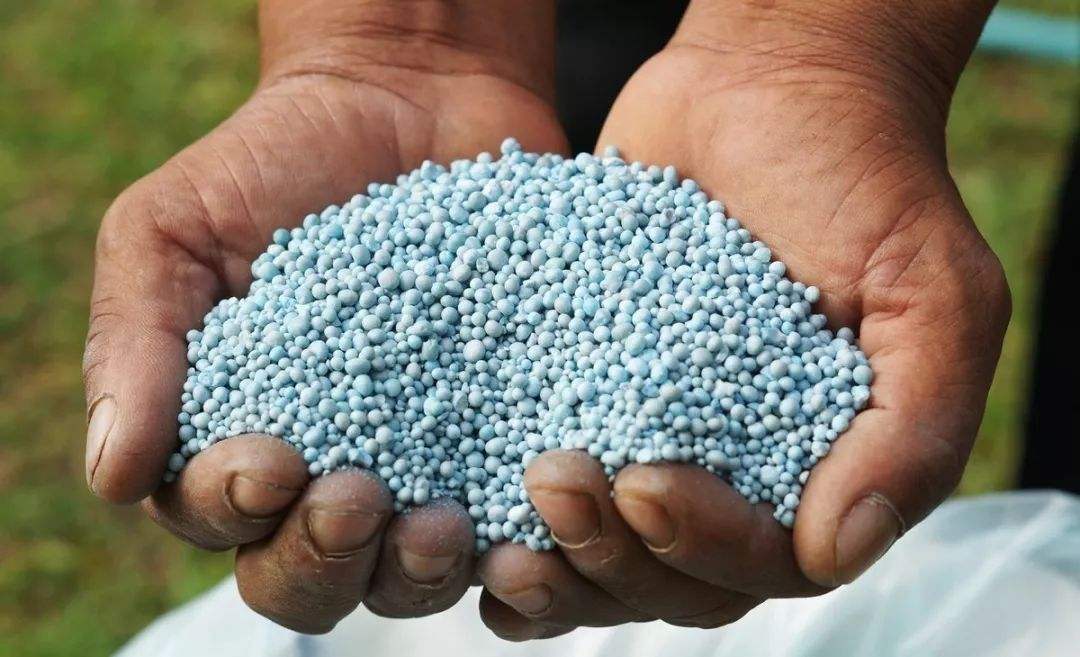 化肥袋如何分辨真假化肥 (辨别化肥真假的最简单方法)