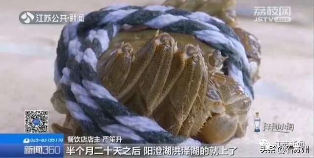 阳澄湖大闸蟹中秋节吃得到吗,中秋节阳澄湖大闸蟹什么价格