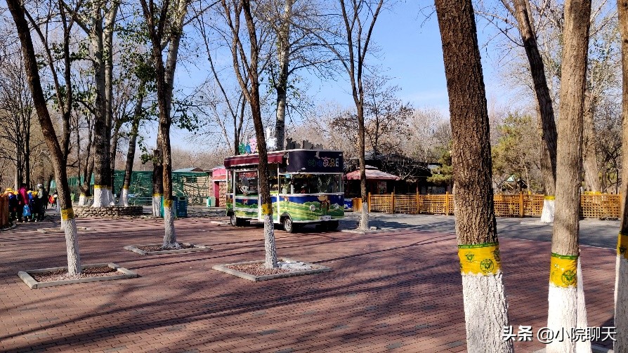 北京大兴野生动物园游玩推荐攻略,北京大兴野生动物园最佳游览路线