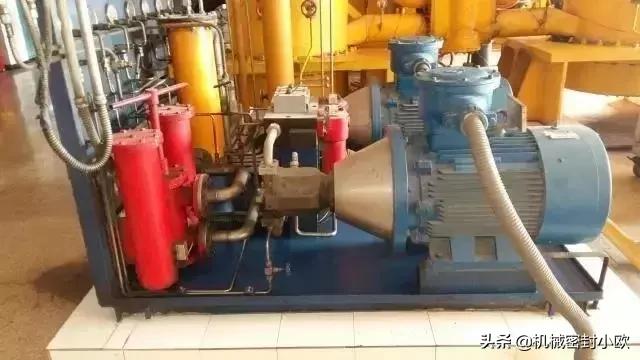 最先进发电厂,国内最大的十大电厂