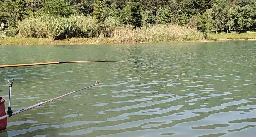 知己知彼百战不殆知是什么意思,知己知彼百战不殆是情报战吗