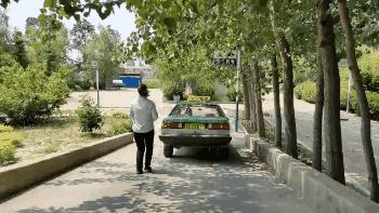 为什么驾校有女教练,驾校女教练为什么比较少