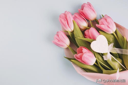 教师节送老师的花折纸,教师节送给老师的花去哪里了