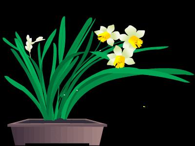 周末动态图片大全周末动态祝福图片大全