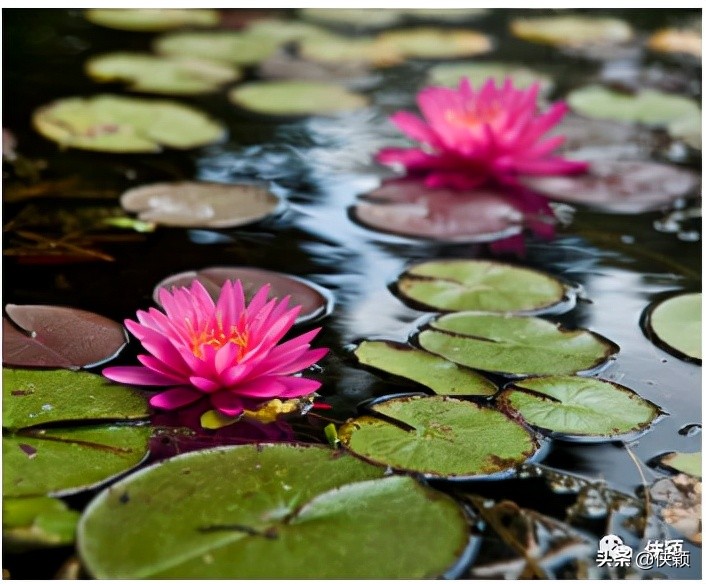 合同法基本原则,合同法概述