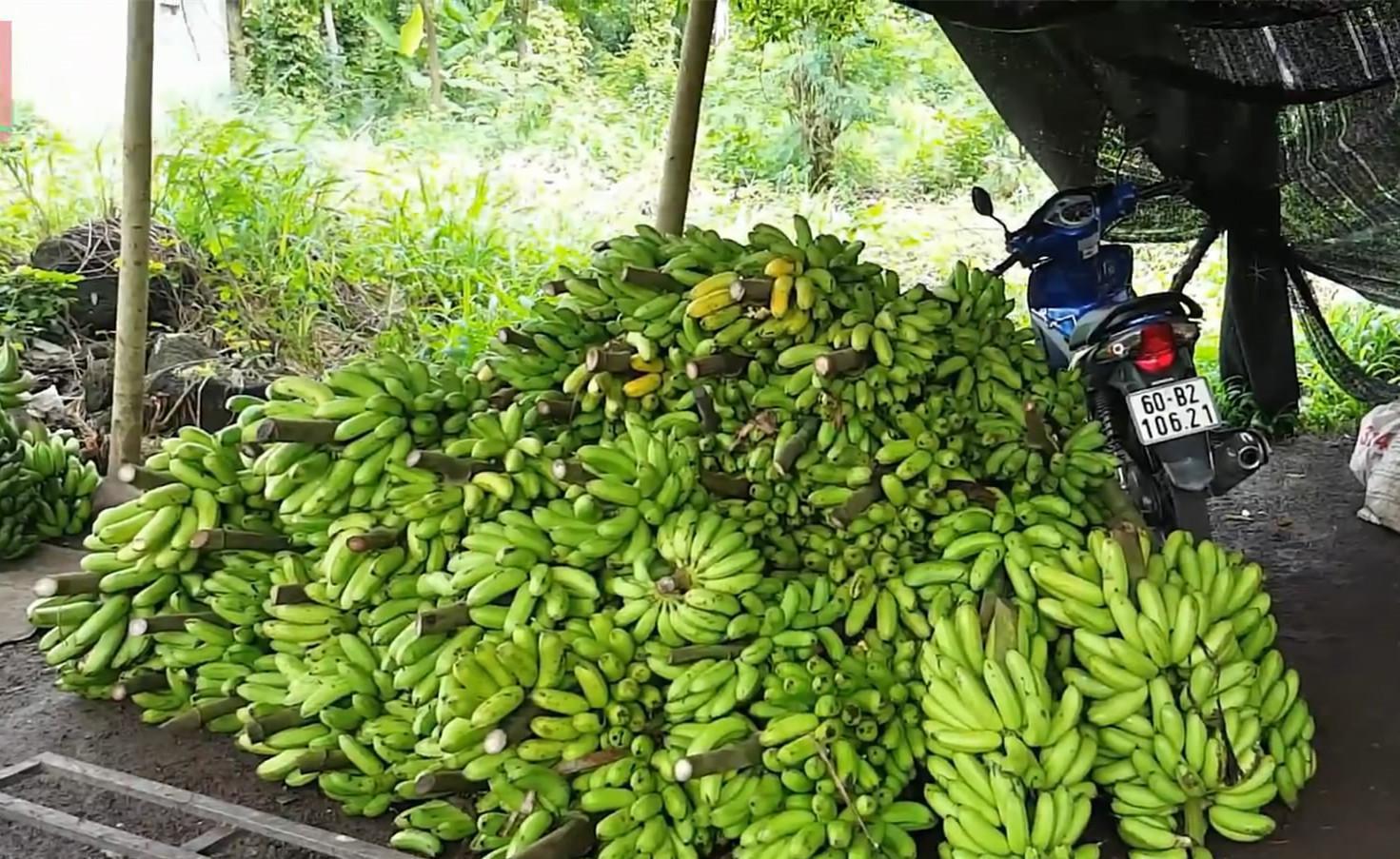 缅甸每年给佤邦多少军费,缅甸果敢同盟军的军费和武器来源