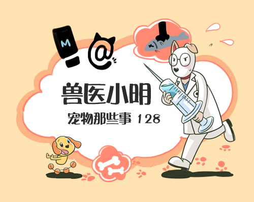 猫咪掐住脖子,猫咪被掐住脖子