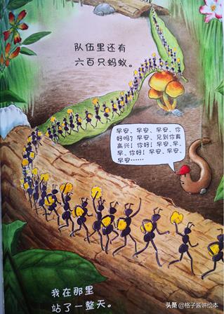 蚯蚓的日记绘本好词好句,100个最经典的绘本蚯蚓的日记