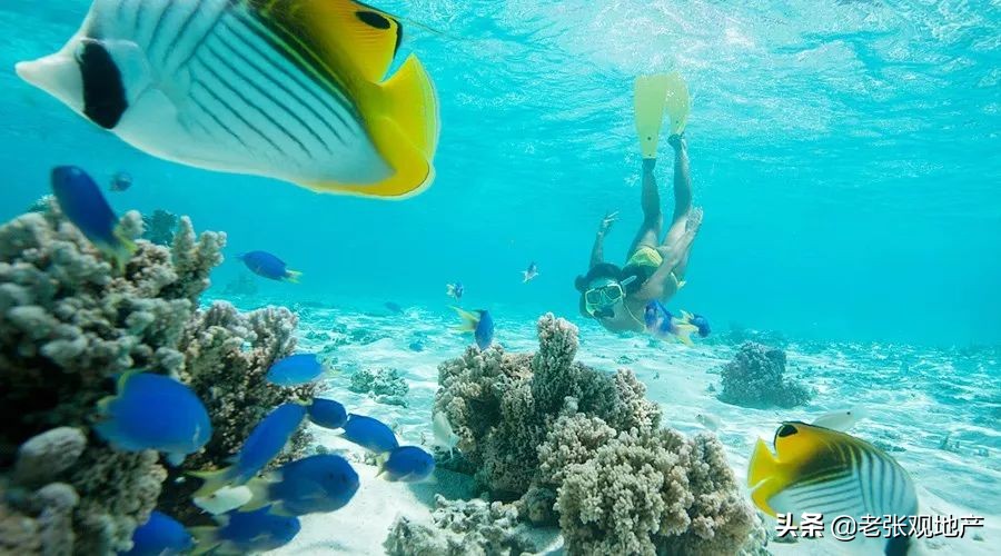 渔民说出海鲜内幕,直播海鲜市场买海鲜骗局曝光