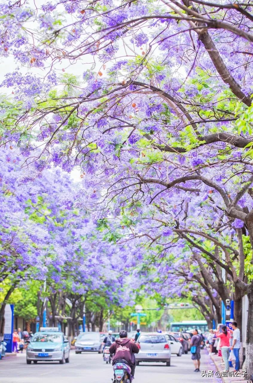 被大理的美景所折服,被丽江的风景美到了