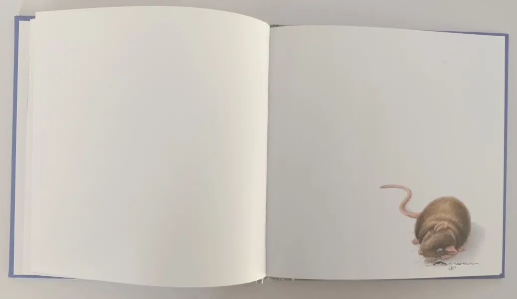 绘本3-6岁经典绘本米老鼠,适合小老鼠的绘本