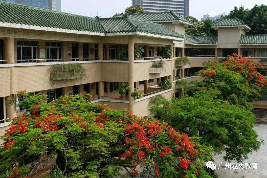 带你云探馆看粤港澳大湾区车展,广州市越秀区华侨外国语学校介绍