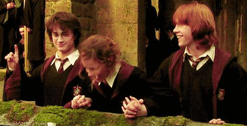 哈利波特24赛季,哈利波特正式进入霍格沃茨