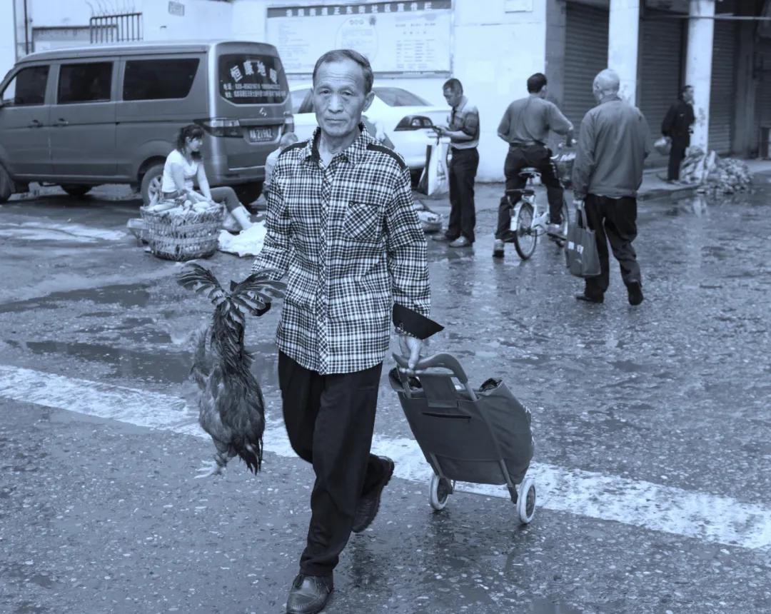 津门网李学群：2017年的端午