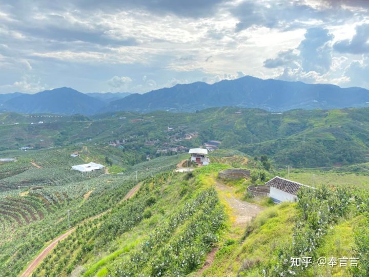 水果赌石,水果界的红石榴