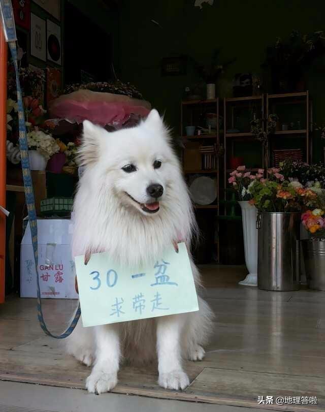 中国各省直辖市行政区特产,34个省级行政区特色介绍