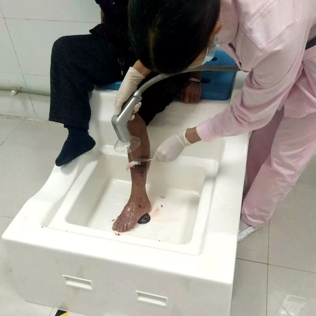 狗狗被眼镜蛇咬了怎么救治,狗狗被蛇咬伤后24小时后还会死吗