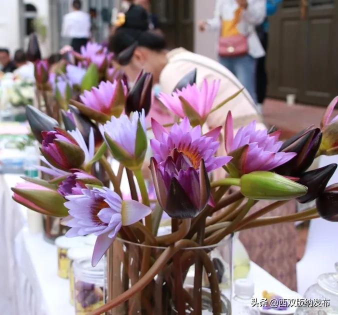 勐海旅游攻略自由行路线图,中国旅游日云南西双版纳