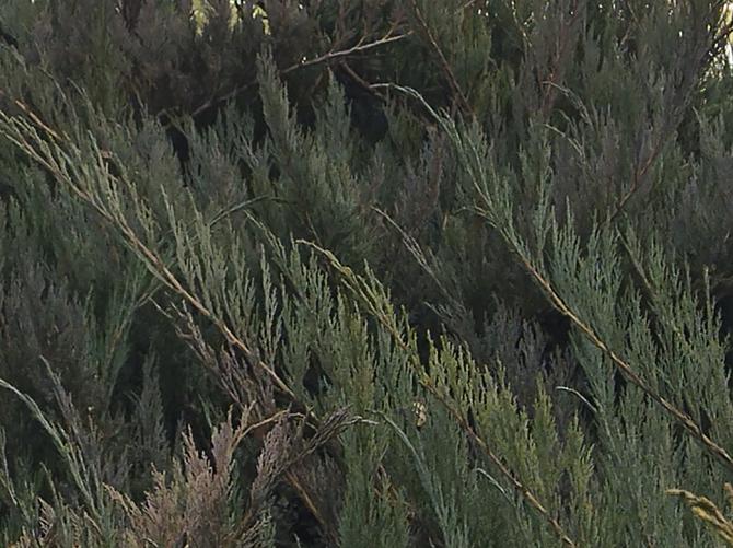 1000元左右手机推荐redminote114g,redmi千元手机推荐