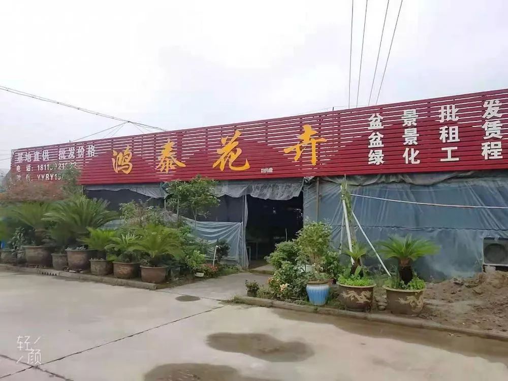 行行出状元都是民间的奇才,行行出状元创业