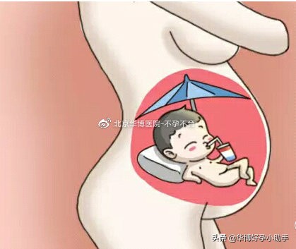 从胎儿着床到有胎芽胎心要多久,从受孕到着床