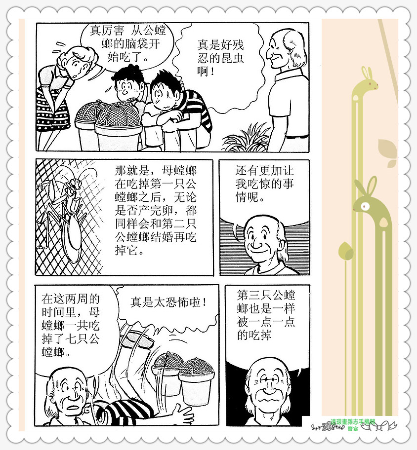 昆虫记法布尔动画片,昆虫记法布尔全套